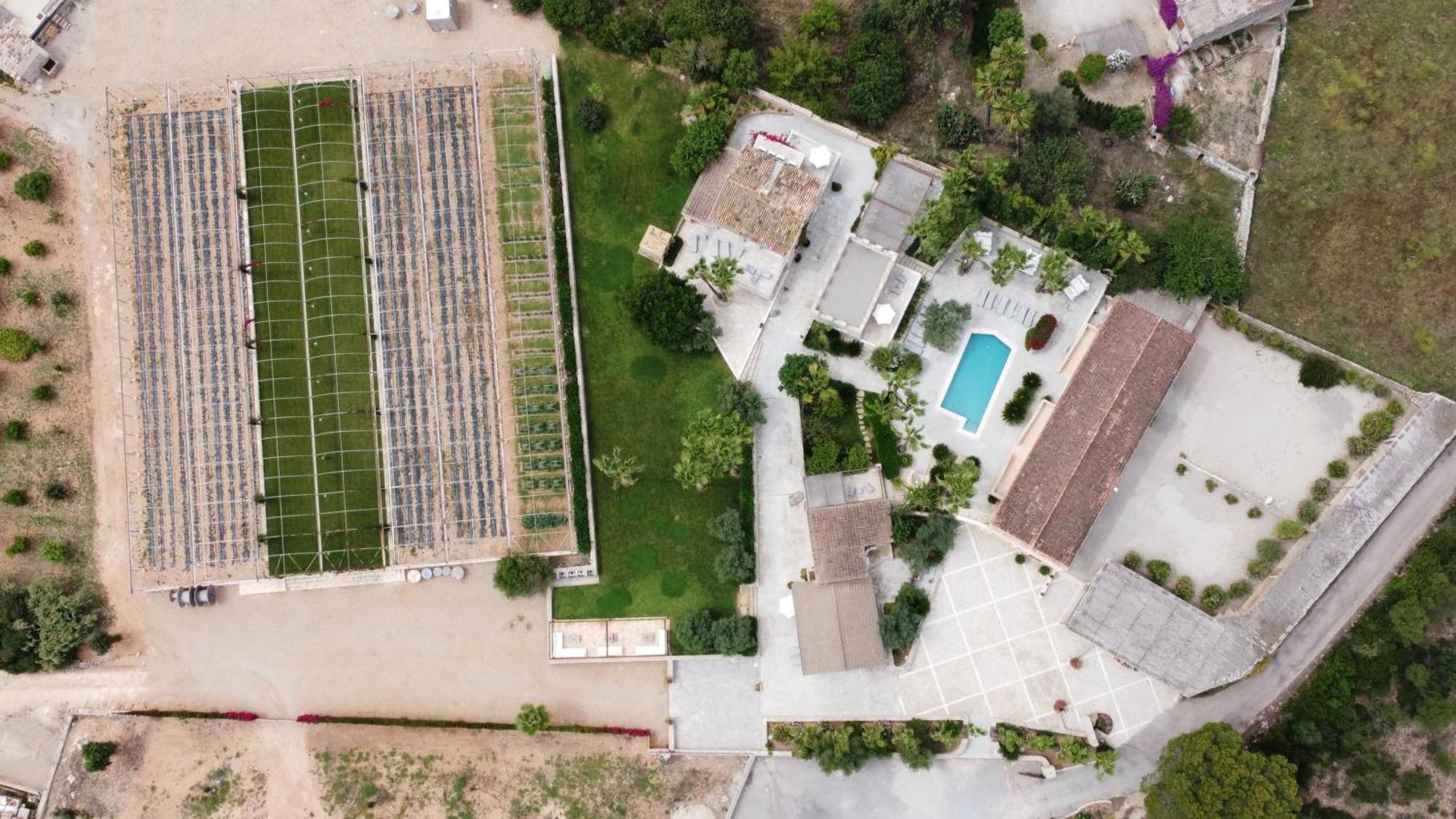 Sa Talaia Blanca Villa Thị trấn Thị trấn Muro Ngoại thất bức ảnh