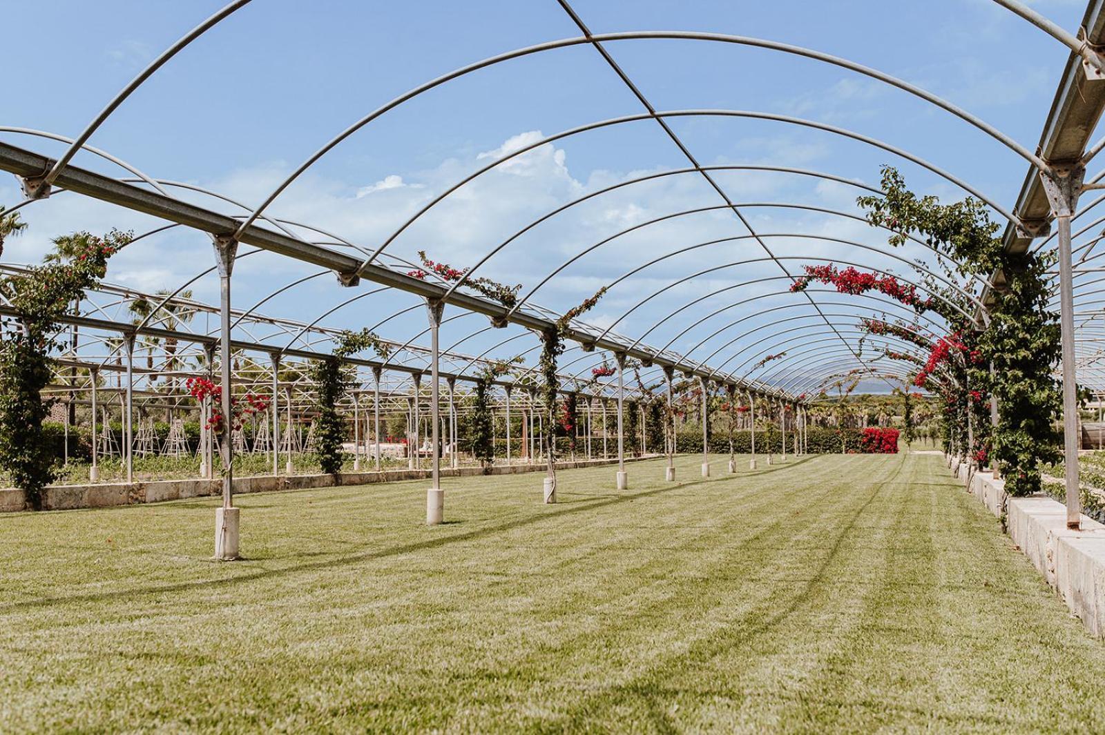 Sa Talaia Blanca Villa Thị trấn Thị trấn Muro Ngoại thất bức ảnh
